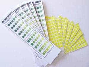 UV Test strips (20 units) Sold by Kolorguide.com