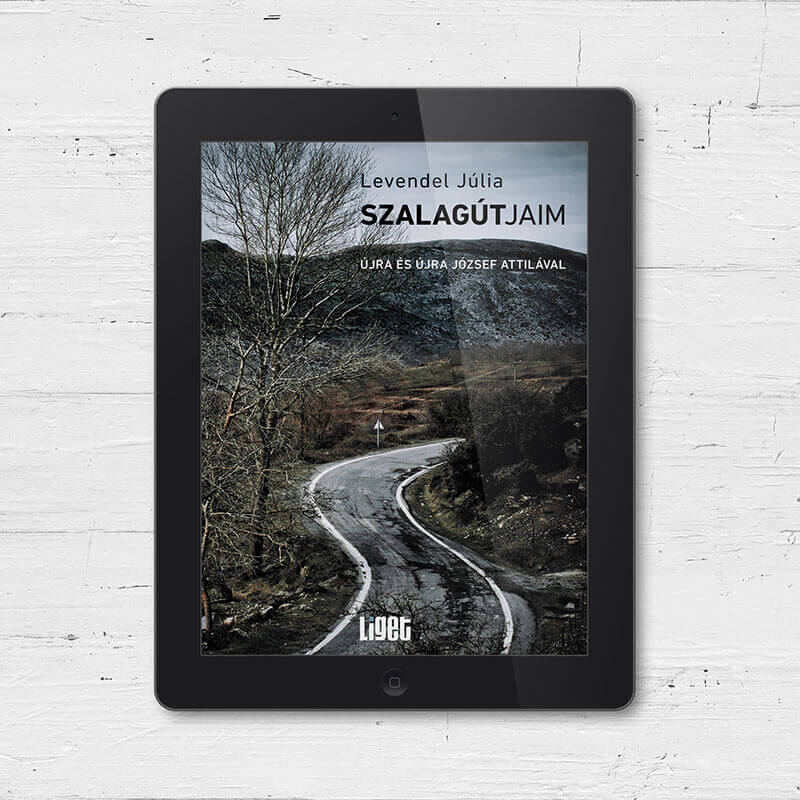 Szalagútjaim – újra és újra József Attilával [e-könyv]