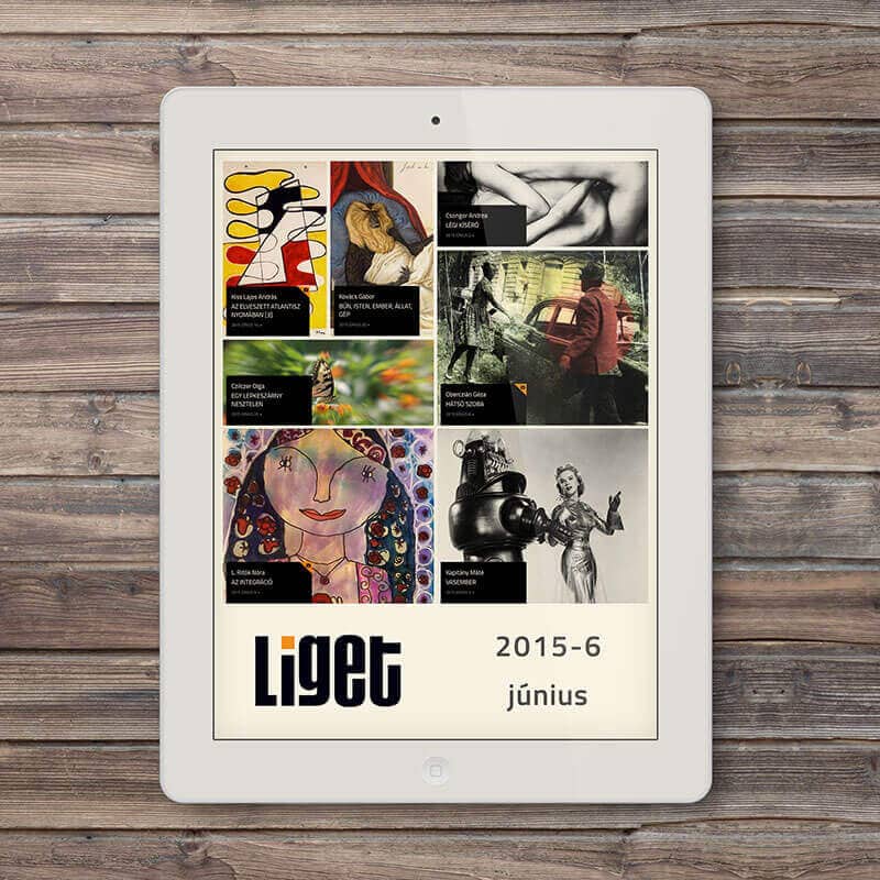 LIGET folyóirat | 2015 június
