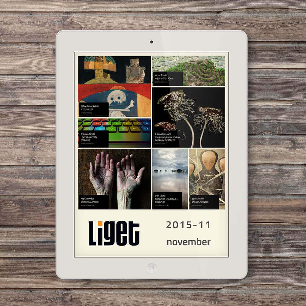 LIGET folyóirat | 2015 november