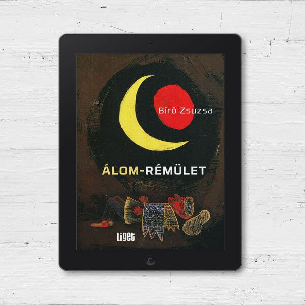 Álom-rémület [e-könyv]