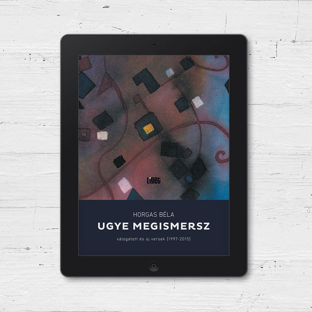 Ugye megismersz [e-könyv]