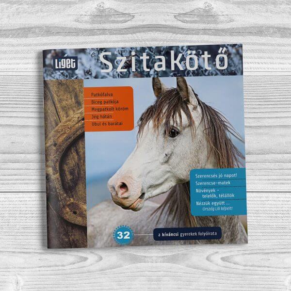 Szitakötő 2015-32