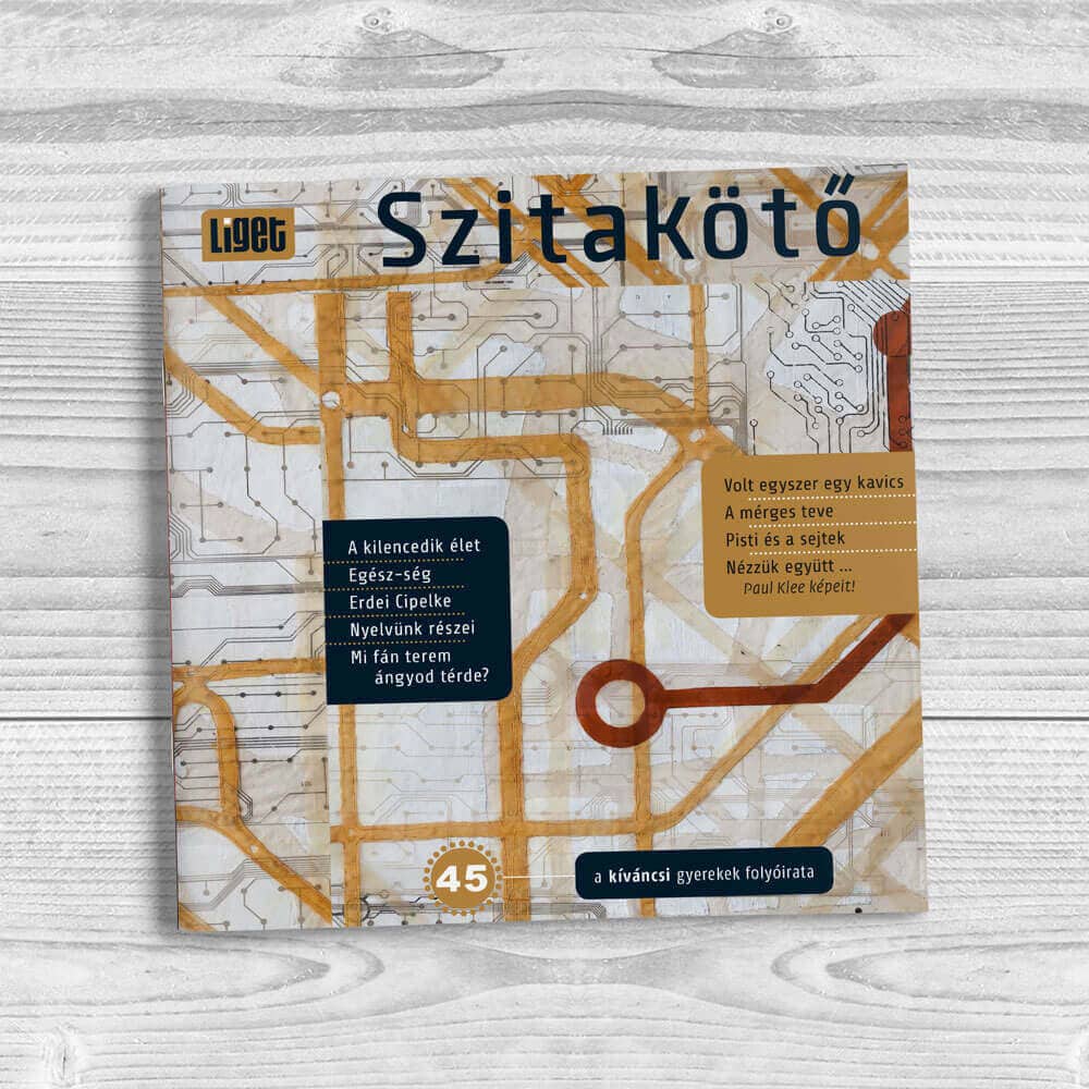 Szitakötő 2019-45
