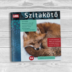 Szitakötő 2021-56