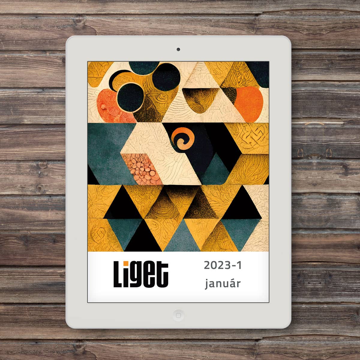 LIGET folyóirat | 2023 január