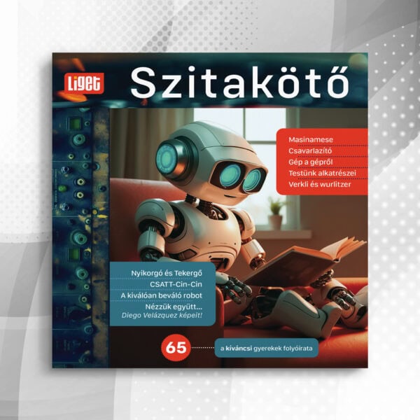 Szitakötő 2024-65