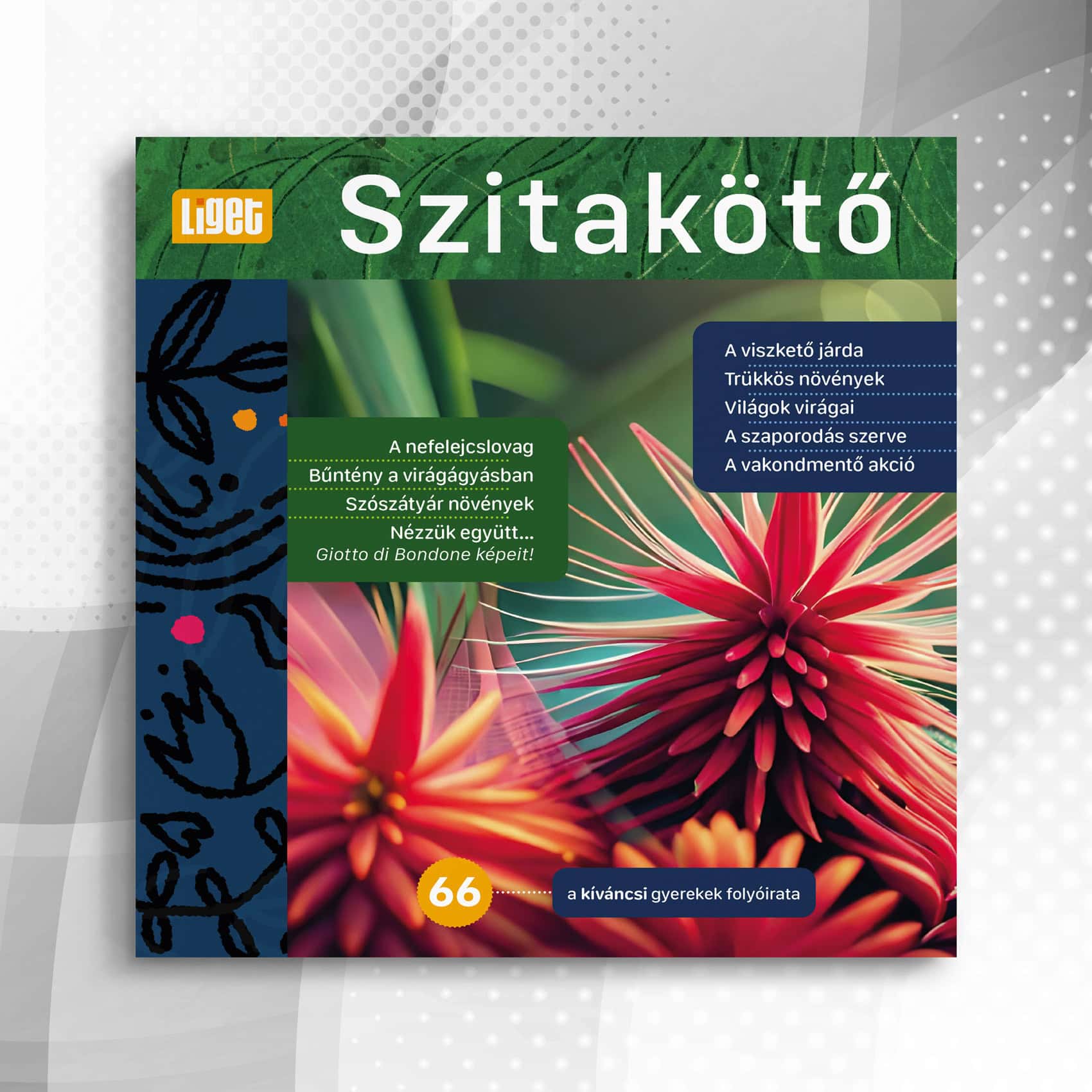 Szitakötő 2024-66