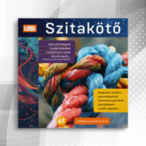 Szitakötő 2024-67