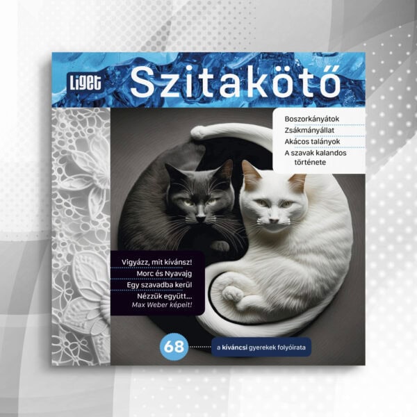 Szitakötő 2024-68