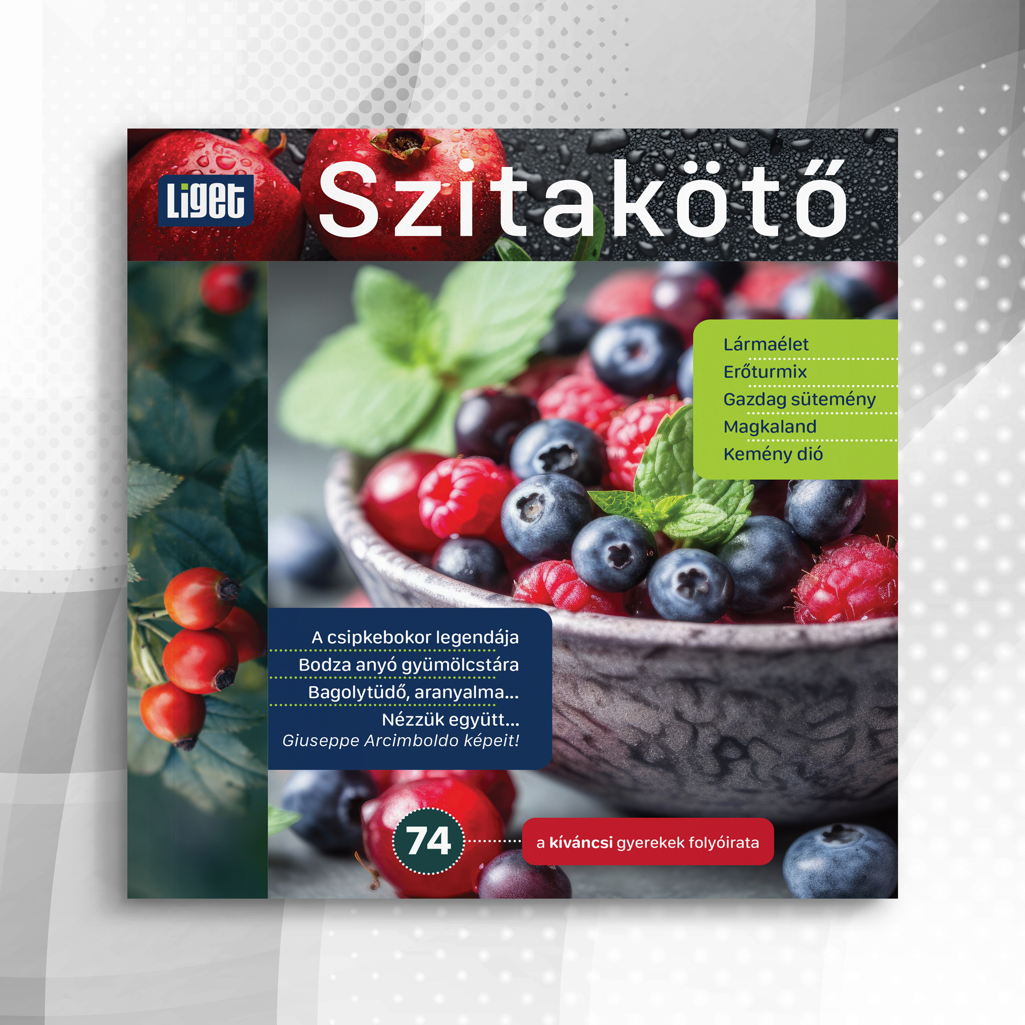 Szitakötő 2026-74