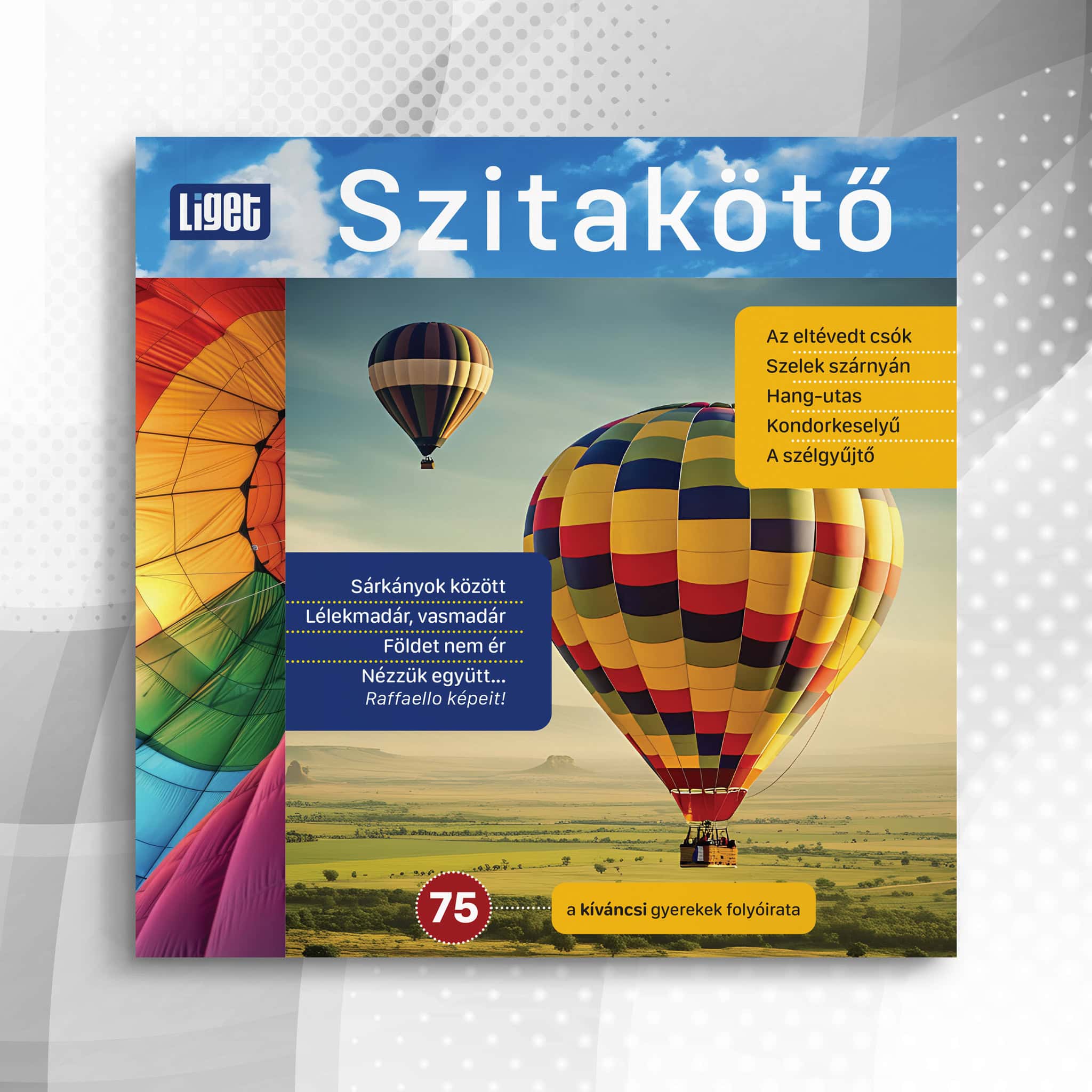 Szitakötő 2026-75