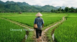 arah tulisan blog kopi dan koi