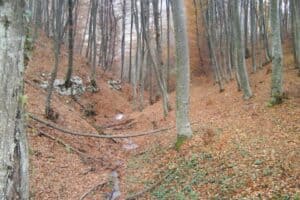 Etno kuće Miljević Šipovo