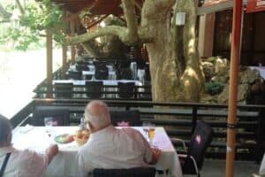 Restoran Vrbas