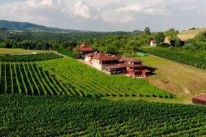Vinska tura kroz Vinariju Jungić, Manastir Stuplje i Izletište Mlinska Rijeka