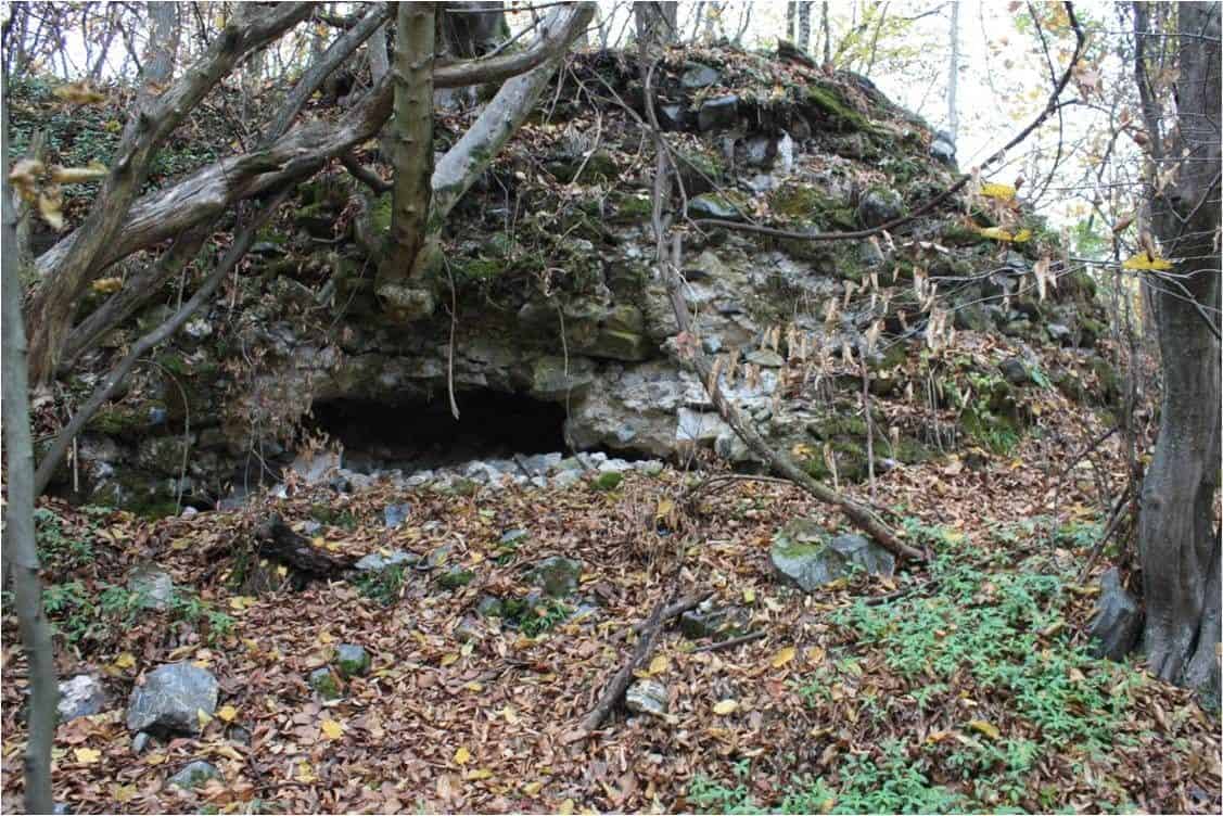 Kamena ruševina obrasla mahovinom u šumi Zmajevac, istorijska znamenitost Čelinca.