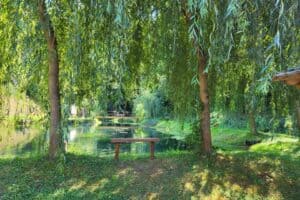 Ribnjak "Kemin Potok" - Dragulj Bosanske Krupe