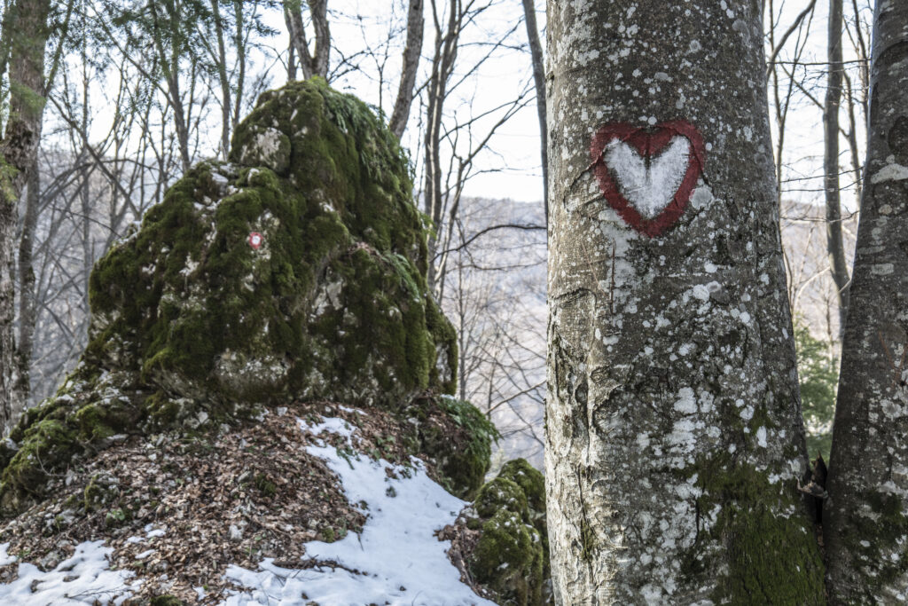 Srce oslikano na stablu bukve uz planinarski znak na stijeni u šumi