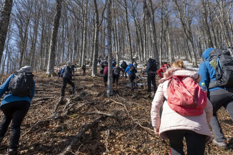 Planinari hodaju kroz bukovu šumu u zimskim uslovima