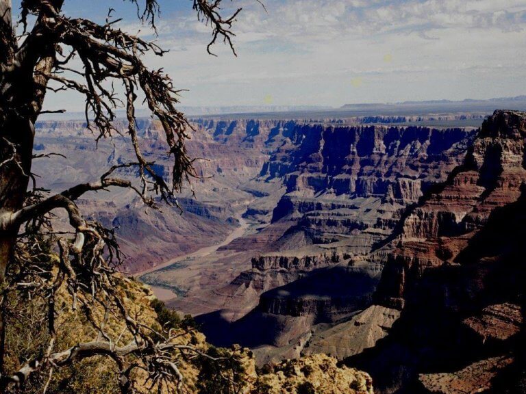 Óvári Árpád előadása