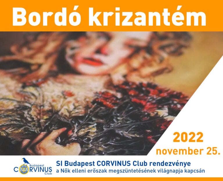Bordó krizantém