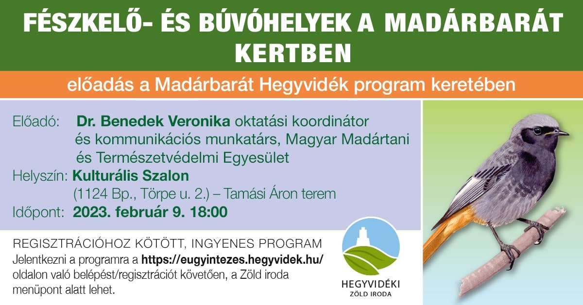 Fészkelő- és búvóhelyek a madárbarát kertben