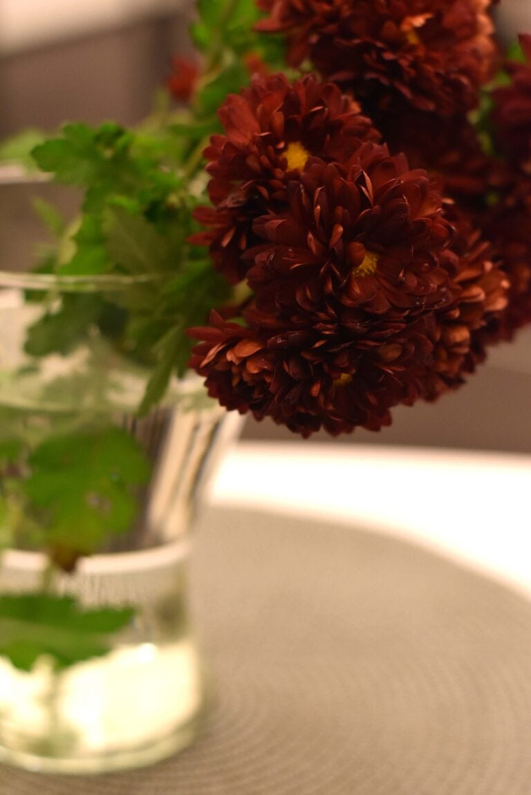 Bordó krizantém rendezvénysorozat