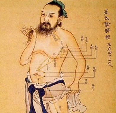 Őseink hagyatéka: