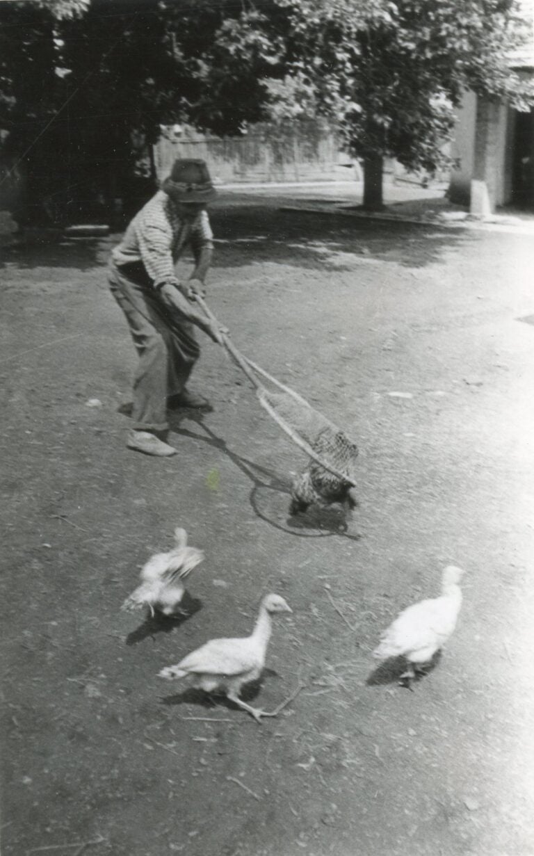 Szalonegyetem