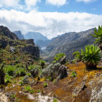 Afrika ismeretlen világöröksége: a Hold-hegység (Rwenzori – 5109 m)