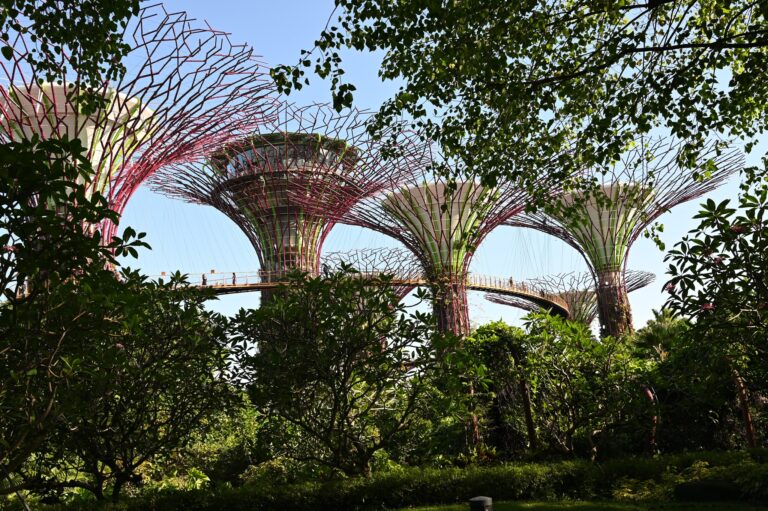 Hangok szárnyán a Föld körül