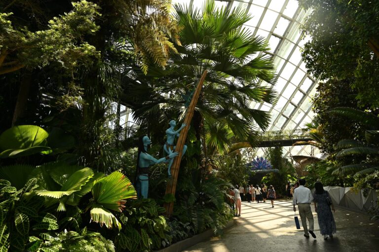 Hangok szárnyán a Föld körül