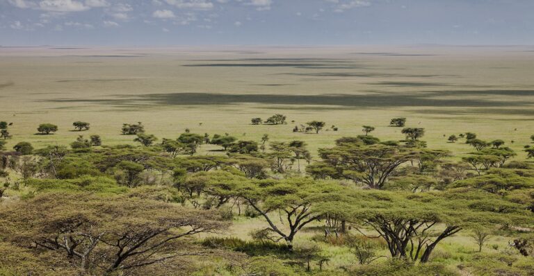Serengeti, Kilimandzsáró, Zanzibár