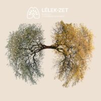 A tüdőrák megelőzésének lehetőségei – betegek tapasztalatai