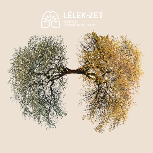 A tüdőrák megelőzésének lehetőségei – betegek tapasztalatai