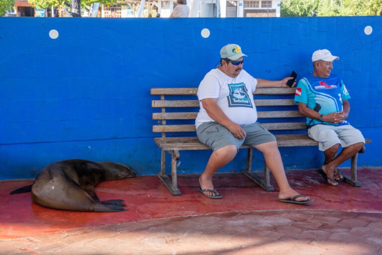 Óriások földje – Galápagos-szigetek