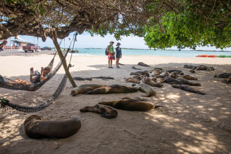 Óriások földje – Galápagos-szigetek