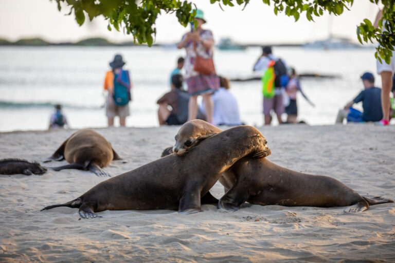 Óriások földje – Galápagos-szigetek