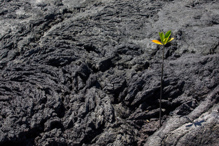 Óriások földje – Galápagos-szigetek