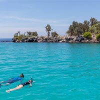 Óriások földje – Galápagos-szigetek