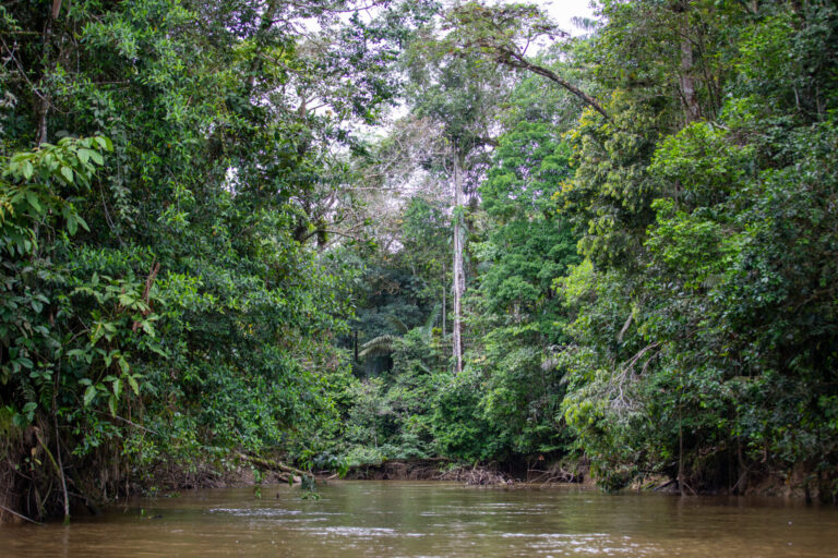 Föld közepe, világ teteje – Ecuador