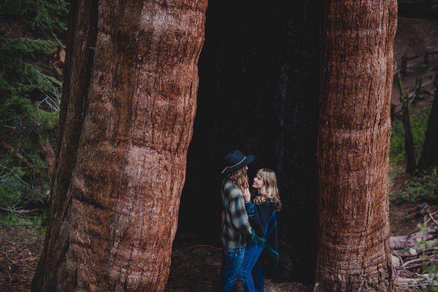 Sequoia National Park engagement session.