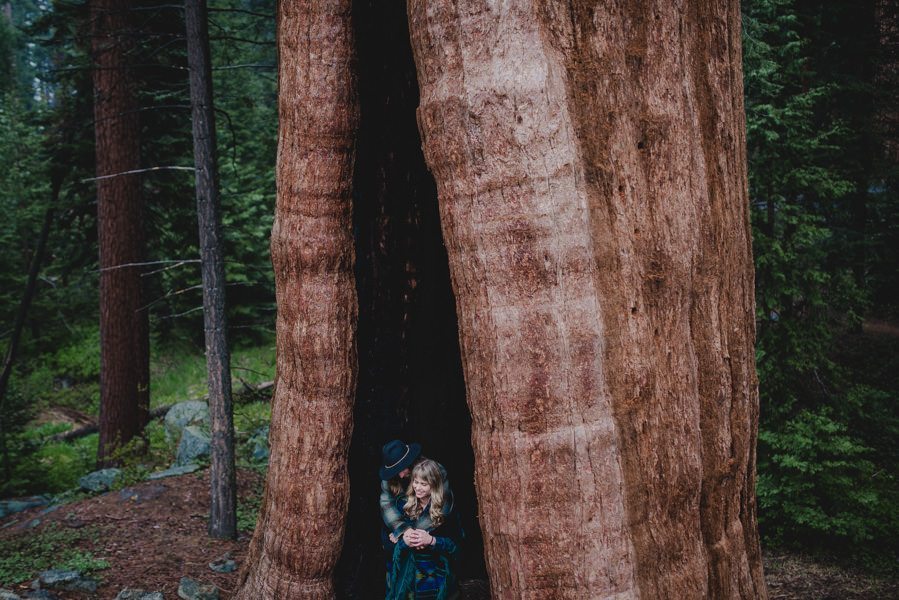 Sequoia National Park engagement session.