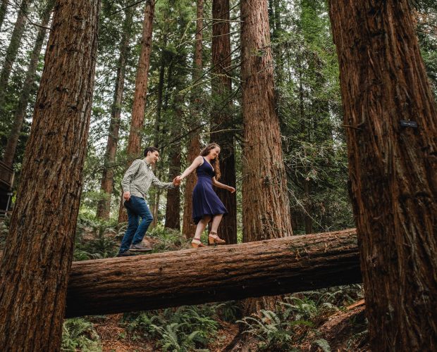 Hoyt Arboretum Engagement Session 001 1