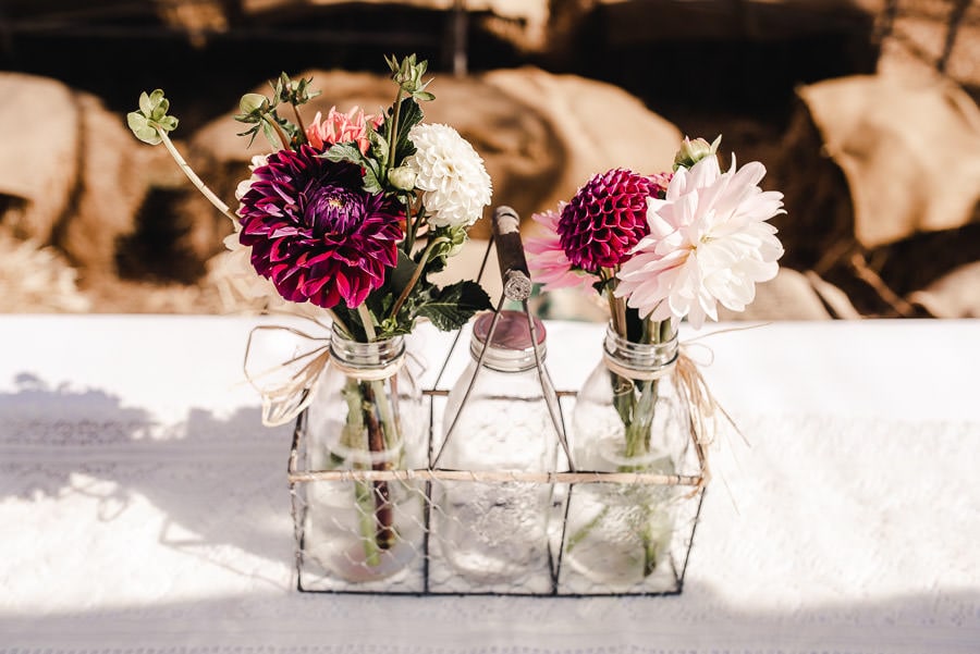 Roshambo Art Farm Wedding Photograpyhy