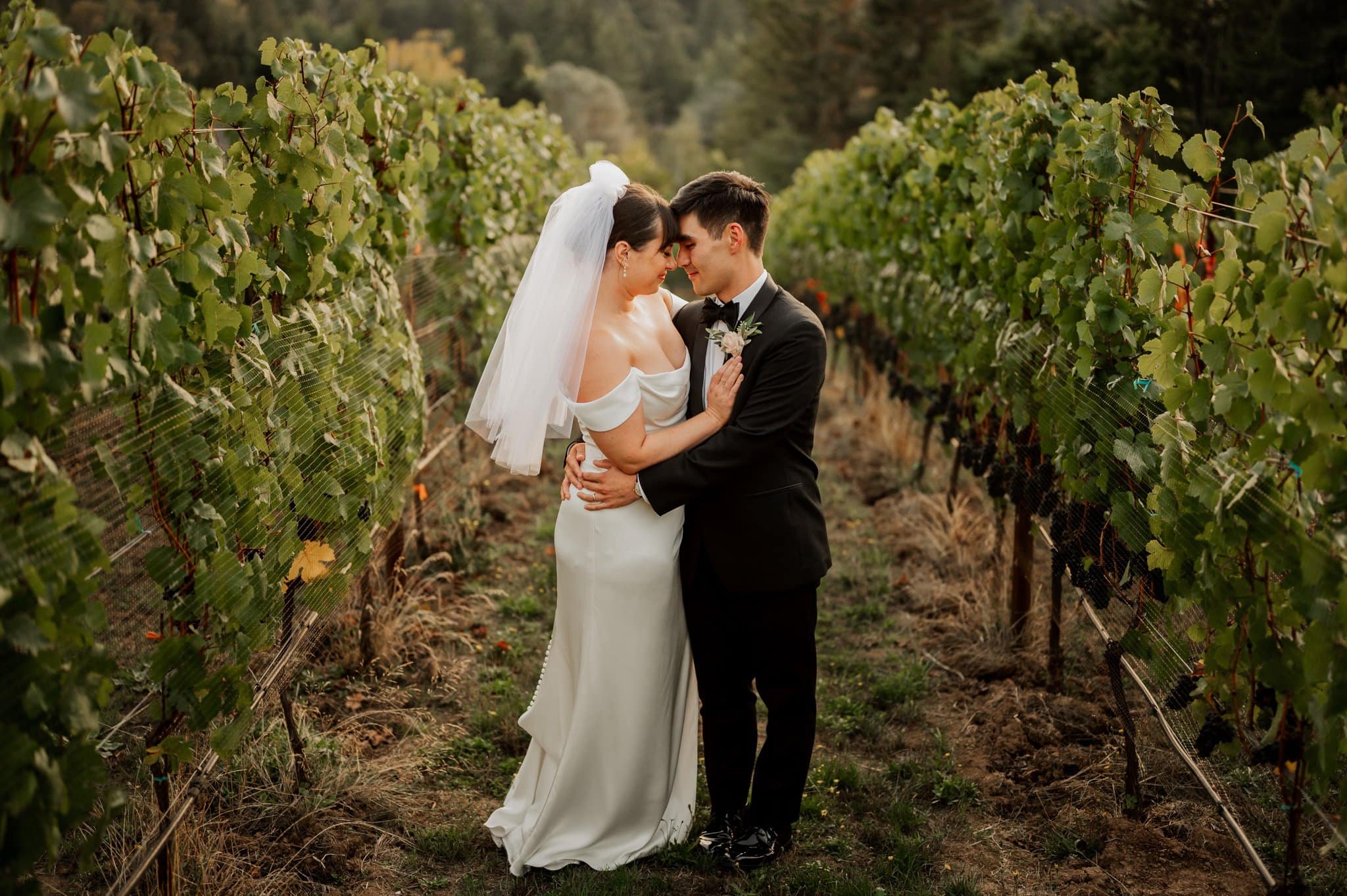 The bride and groom share an embrace at Amaterra Winery, a Portland wedding venue surrounded by lush green grapevines.