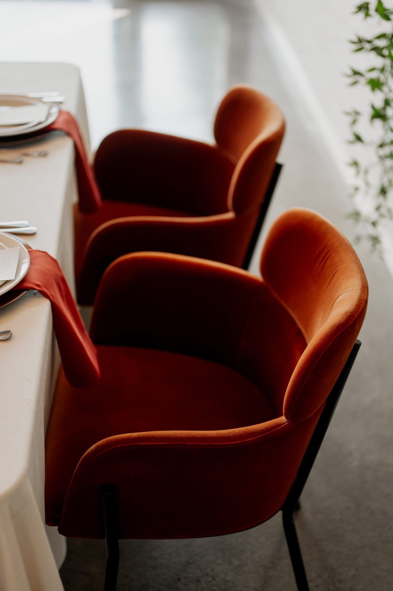 Two red velvet chairs at a dining table with red napkins, set with plates and cutlery, evoke the elegance of Amaterra Winery wedding photos in a bright room.