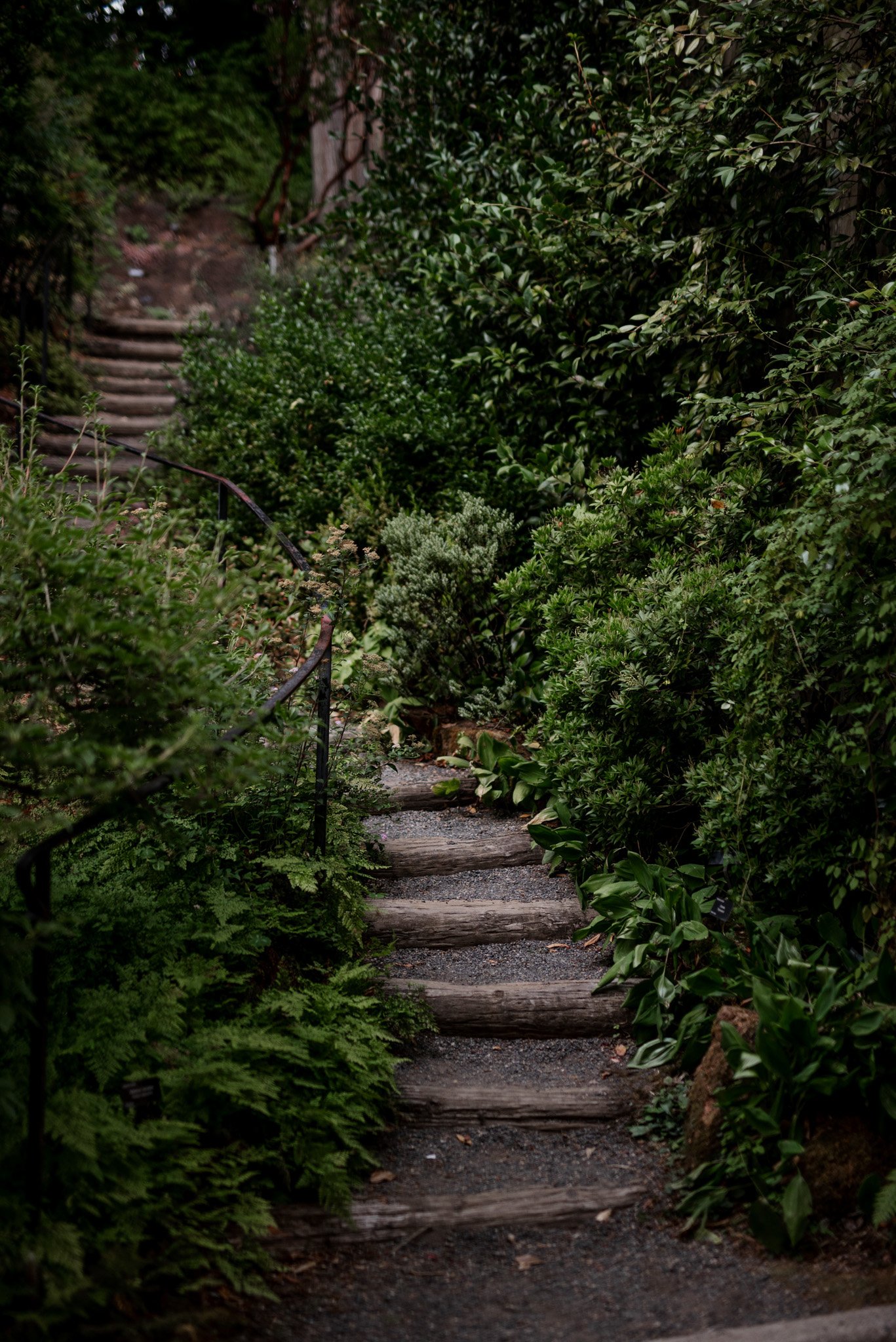 Leach Botanical Garden Portland Wedding Venue
