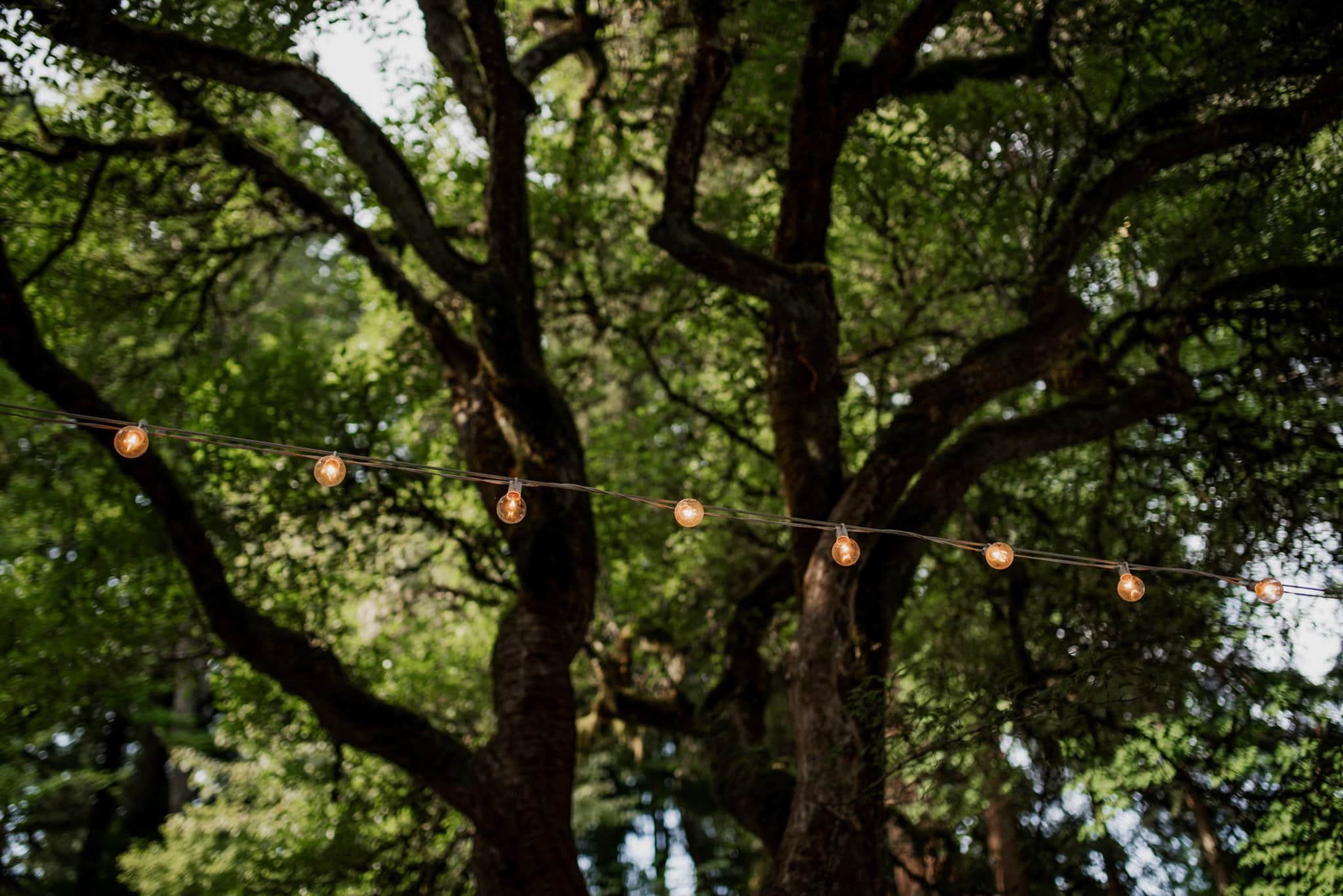 Leach Botanical Garden Portland Wedding Venue